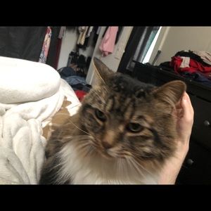 Meet your Posher, Jason